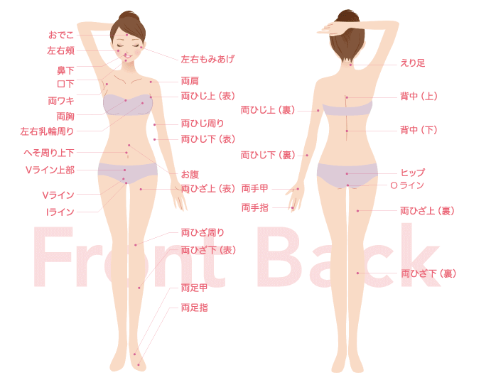 シースリー柏店は全身53ヶ所脱毛